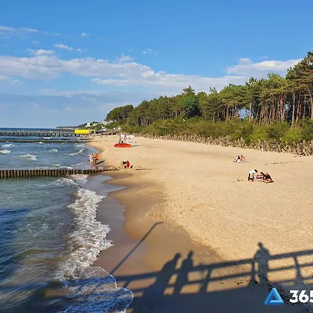 365pam - Leaf 6-osobowy Apartamento *